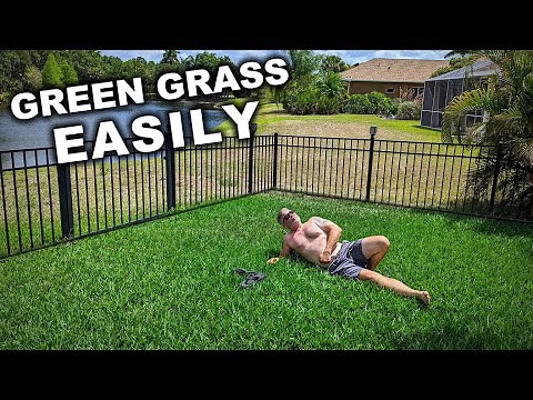 Starting Today “Your Grass Will Always Be Greener”