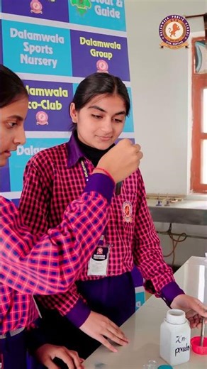 Displacement Reaction Experiment | Nancy & Nisha | Dalamwala Public School