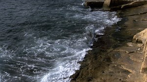 3.5K views · 20 reactions | What is your favourite historical fact you've learned? Let us know in the comments below! ⬇️ | Love History | Facebook