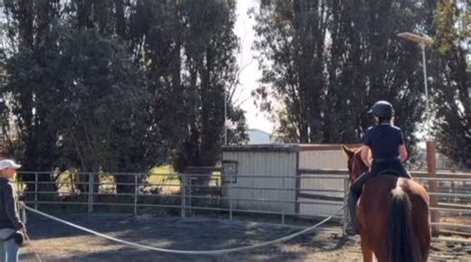 Rebecca is ready for battle and cantering Shamus now! | Ride Off Ranch