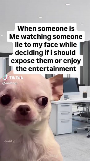 Evil Dog Memes That Will Make You Laugh
