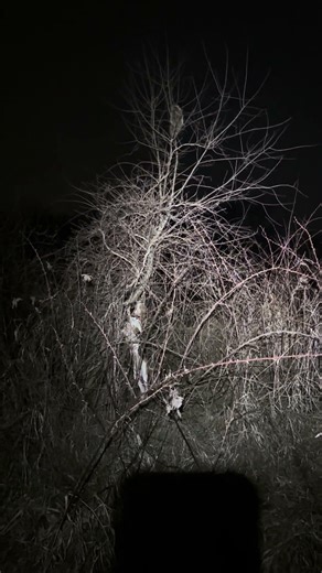 How do you score this one Jethro???!!!