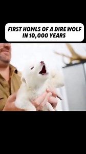 10K views · 7K reactions | Absolutely incredible - Scientists have...