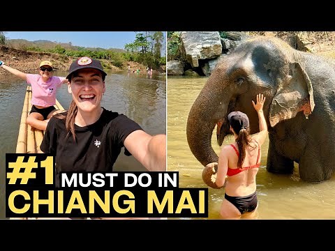 Elephant Sanctuary Chiang Mai - THE BEST Elephant Experience!