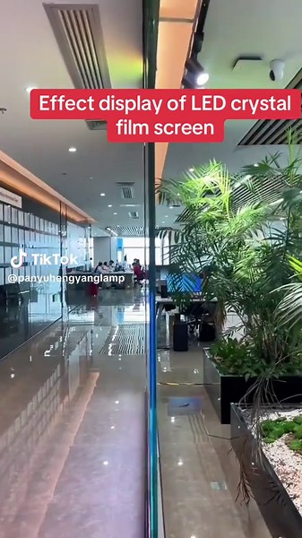 High-Definition LED Crystal Film Screen for Advertising