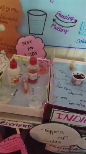 educational working model. B.Ed.,