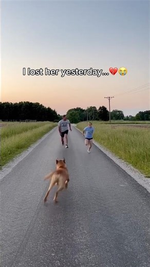 Bye bye baby…💔😭 #pets #dogloss #dogfails #puppy #rip #dogsoftiktok #fyp #viral