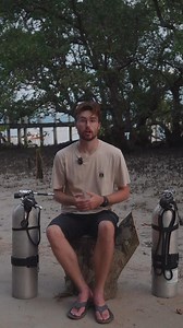 Think sidemount diving is just for cave divers? Think again! @jacobguy.media, fourth element ambassador and underwater photographer/videographer tells us why diving sidemount is a game changer if you are looking to be a more self reliant diver 🤙 with @bunakenoasisdiveresort | Fourth Element