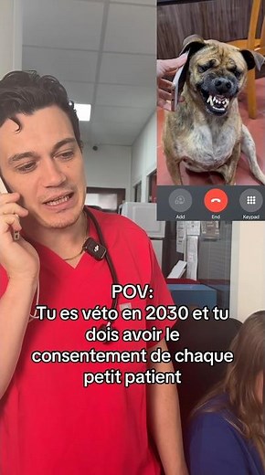 Loi consentement animal 2030 #vet #pov #dog