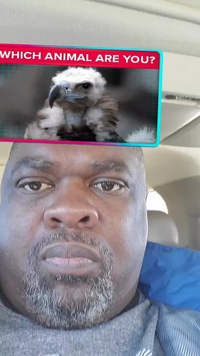 Randy Walker (@unclerandy521)’s videos with original sound