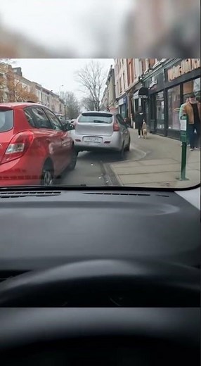 Driver Fails at Parallel Parking!