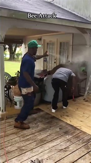 Beehive removal #funny #animals #bee#beehive #fail