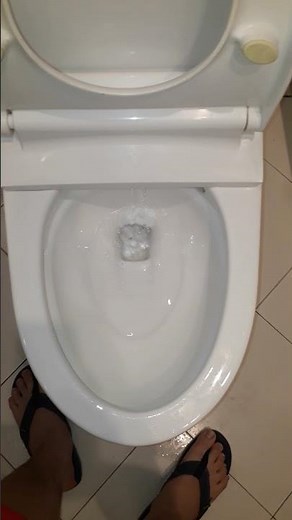 #9: (Vietnam toilet 🇻🇳) 2019 Toto Ultramax II toilet with an Ecowasher bidet seat.