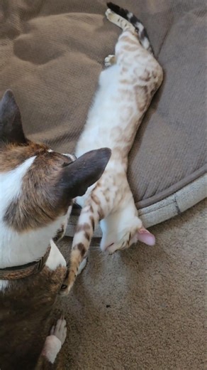 Don't let her get you lmao 🤣