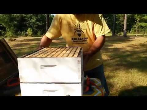 Easy DIY homemade Bee-Vac