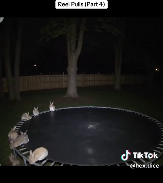 Reel Pulls Techniques Explained in Part 4