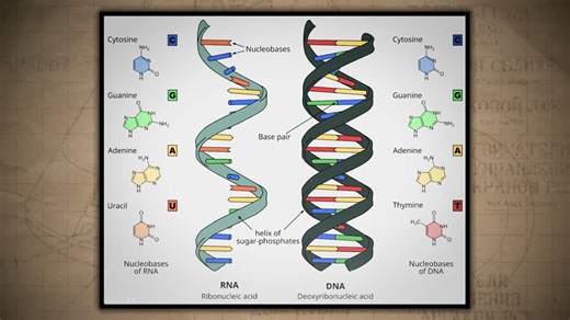 Life could exist without DNA – and science already knows how