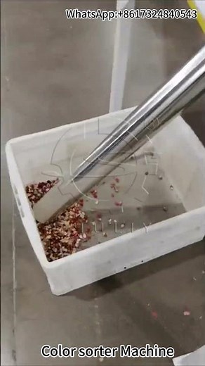 Efficient Peanut Kernel Color Sorter Machine | Advanced Sorting Technology for Agriculture