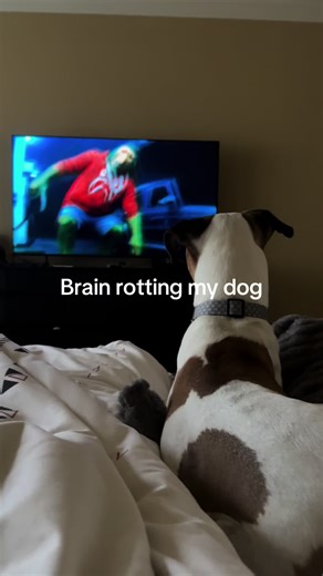 Brain Rotting My Dog: A Hilarious Journey