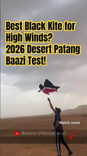 Best Black Kite for High Winds? 2026 Desert Patang Baazi Test!