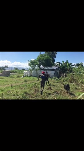 Prank réel caméra caché #prank#viraltiktok#viralvideos@rorolecomedien1🇨🇬 @⚡️La Pulga HN 🥇⚡️ @sycolarki DG Khan 👿 @Mr Paul comedian🕵🏿 @oʻjji @KING LE COMÉDIEN🇨🇬