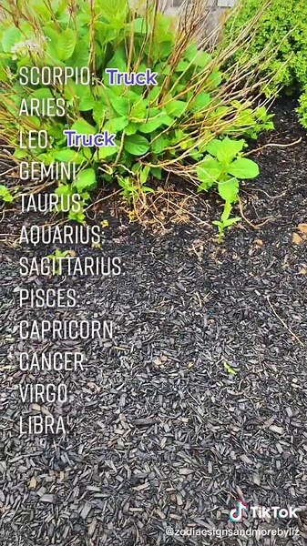 Zodiac Signs and Their Unique Traits Explained