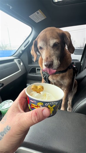 Howl could I tell her no 🤪 | Dog Howling