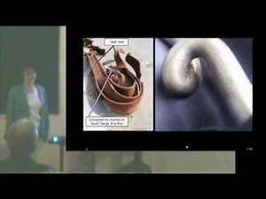 Dr. Judy Wood describes what happened to steel columns of the WTC