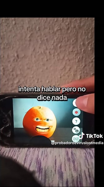 Exploring Talking Orange: A Unique Lost Media Experience