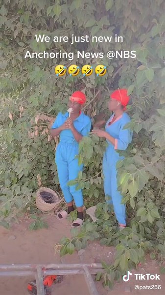 Anchoring News at NBS: Team No Stress Updates