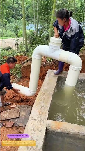 Assembling the Siphon: How PVC Pipes Turn Gravity Into Irrigation
