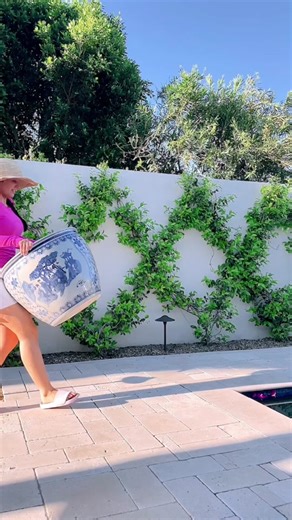 Eeek! So in LOVE with my new Grapefruit Tree and Chinoiserie pot I found at the @The Home Depot! #TheHomeDepot #Partner #TheHomeDepotPartner. Their garden center is seriously such a little hidden gem if you’re looking for ways to refresh your yard or patio! Plus they are currently having their Spring Black Friday Sale and offering tons of discounts not only on plants, but also on patio furniture, tools, grills and so much more! Linking my Grapefruit tree, pot, and supplies used in my bio and LTK