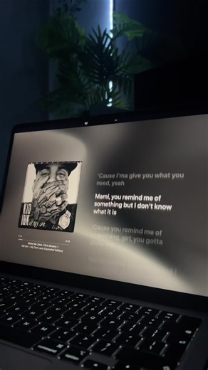 Show Me Lyrics by Chris Brown - Complete Overview