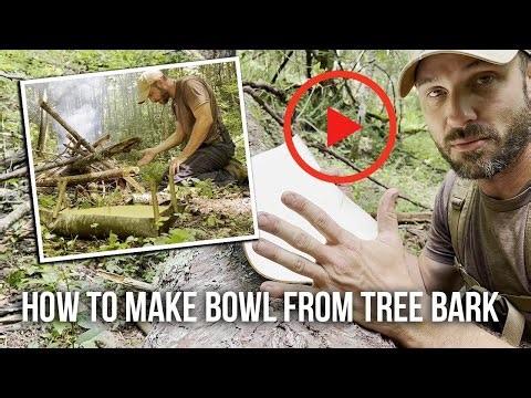 How to Make a Bowl From Tree Bark