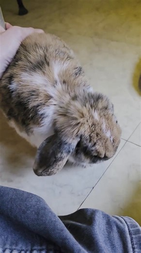 Il vit pour manger ce Doudou, comme sa Patate de Frangine! Léchouilles sur vous les p'tits Pompons Bon week-end 😘 | Les Zazaventures de Bébé Dewey, Princesse Ttinkie et Supère Poupouille