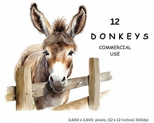 Donkey Clipart, 12 Watercolour Images of Cartoon Donkeys, Digital PNG With a Transparent Background, Commercial Use. - Etsy
