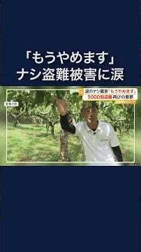 ナシ農家「もうやめます」 収穫前の5000個が盗難 #shorts