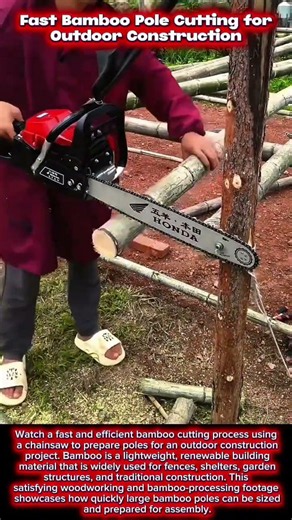 Fast Bamboo Pole Cutting for Outdoor Construction #woodworking #craftsmanship #tools