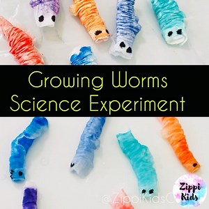 327K views · 1.3K reactions | A great science lesson on worms for spring 缾缾... All you need is kitchen paper towel, markers, straw, droppler and go! 﫶 | Zippi Kids Corner | Facebook