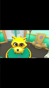 Thug Life Pets&Stuff #thuglife #funny #vr #viral #petsandstuff
