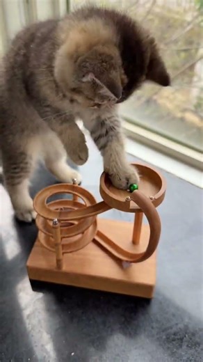 Wooden Perpetual Spiral Motion Kinetic Ball Roller Science Toy 1️⃣