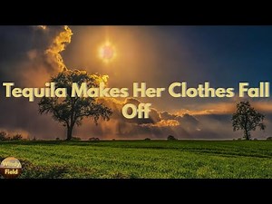 Joe Nichols - Tequila Makes Her Clothes Fall Off (Lyrics)