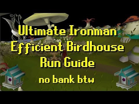Ultimate Ironman | Efficient Birdhouse Run Guide