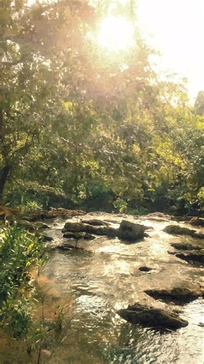 amazing nature😘👌🌿#shots