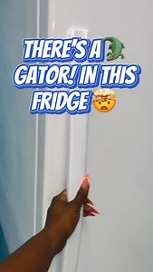 🐊 GATOR MEAT IS HERE! 🐊 Lean, mean, and packed with protein power! 💪🏽🔥 Now available at Seafood Genie — where all your wild seafood wishes come true! ✨ ✅ High in Protein ✅ Low in Fat & Calories ✅ Rich in Nutrients ✅ A Sustainable Alternative ✅ Versatile – Grill it, fry it, stew it, and more! Ready to try something bold and delicious? Swing by and grab yours today! 📍 Where to Find Us: Prince Charles & Fox Hill Rd (Green Plaza, behind Esso Gas Station) 📅 Store Hours: Monday - Saturday: 8:00