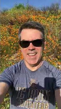 “pin/pen” substitution in Southern accents!