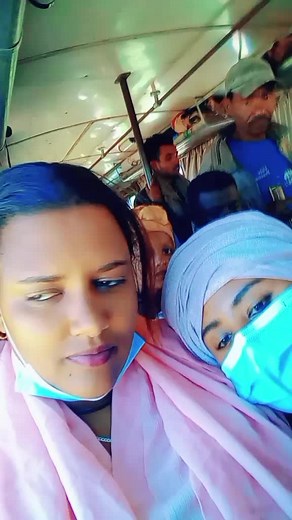 Inside a Public Bus: Passenger Experiences Unveiled