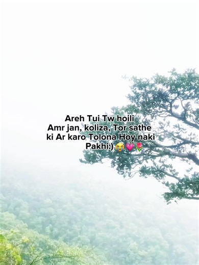 Areh Tui Tw hoili Amr jan, koliza, Tor sathe ki Ar karo Tolona Hoy naki Pakhi:) #foryoupage #whois_jisan_ #unfreezemyacount #viralvideo #bangladesh🇧🇩