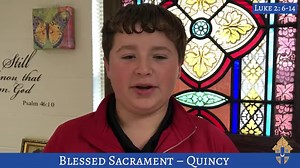 13K views · 208 reactions | Today, students from all over the diocese share with us the Word, the Word that became flesh and made his dwelling among us, and we saw his glory, the glory as of the Father’s only Son, full of grace and truth. Merry Christmas #Catholicschools #Catholiceducation | Diocese of Springfield in Illinois | Facebook