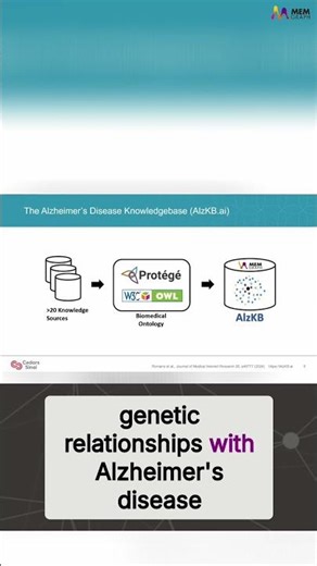 Alzheimer's: A Graph-Powered Knowledge Base? 🤔 #shorts
